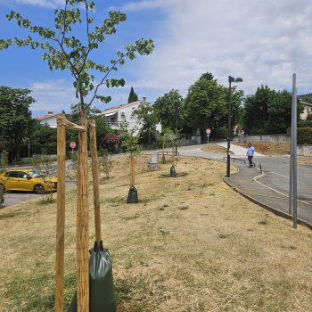 Postavljanje vreća za dozirano zalijevanje stabala