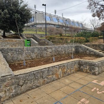 Udruga ACT Hrvatska i KD Kostrena posadili sadnice pistacije ispred OŠ Kostrena